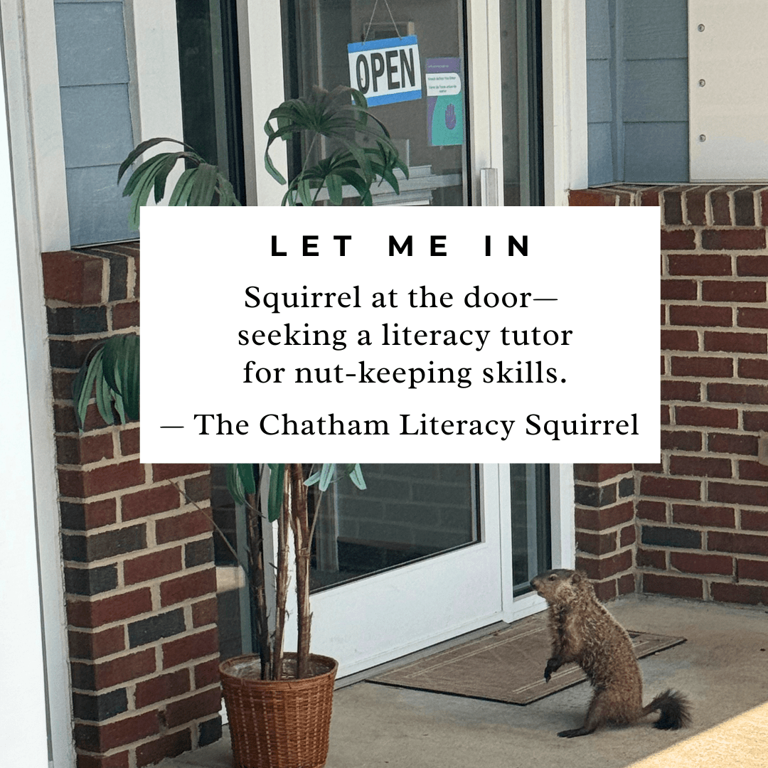 Squirrel Haiku